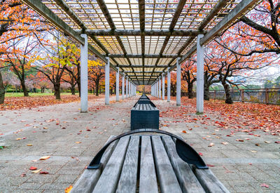 Empty bench in park during autumn