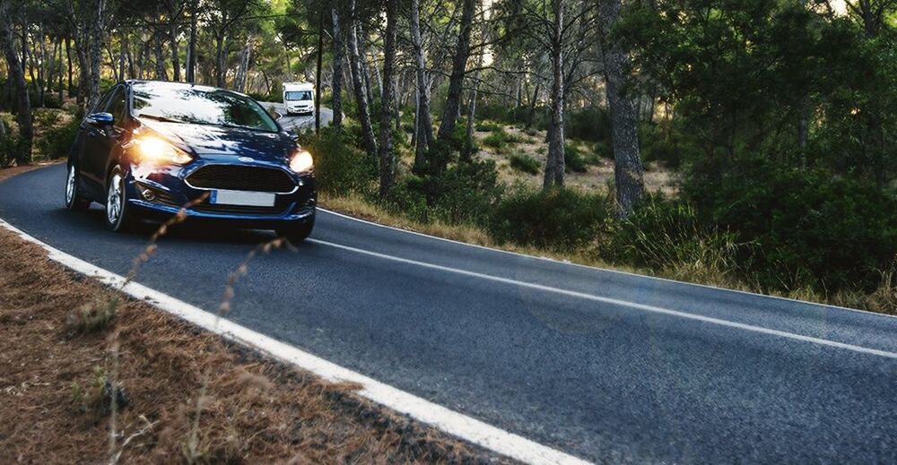 ROAD PASSING THROUGH TREES