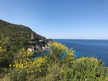 Scenic view of sea against clear blue sky