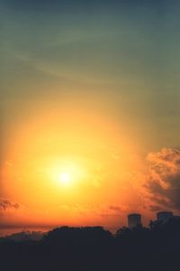 Silhouette of trees at sunset