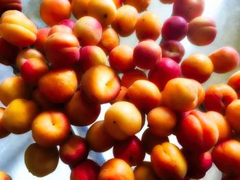 Full frame shot of tomatoes