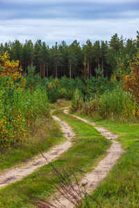 Scenic view of trees by plants against sky