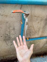 High angle view of hands on wall