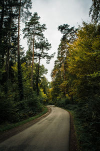 Road amidst trees in forest against sky