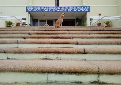 Man on steps against sky