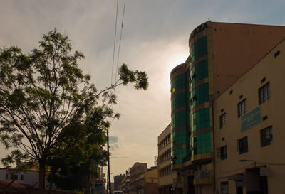 Low angle view of trees against sky