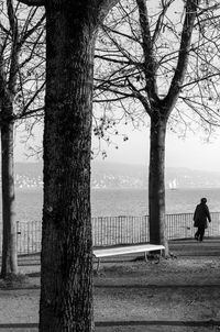 Rear view of man looking at view