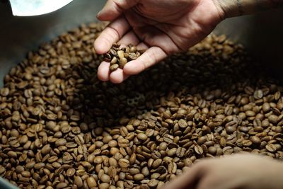 High angle view of hand holding coffee beans