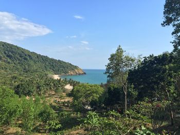 Scenic view of sea against blue sky