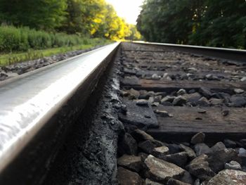 Close-up of railroad track amidst trees