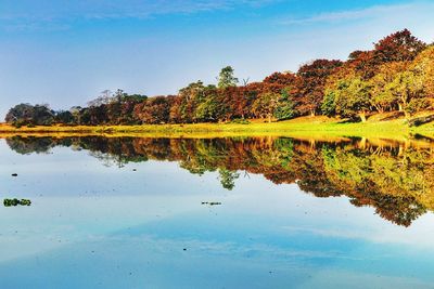 Scenic view of lake by trees against blue sky