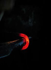 Close-up of red crab over black background