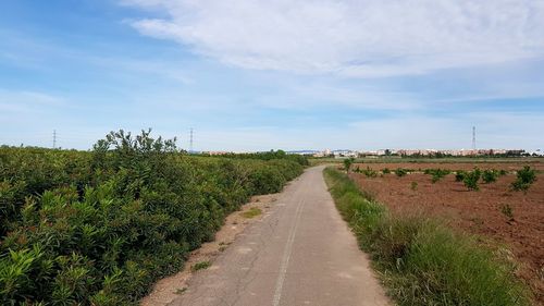 Road amidst plants on field against sky