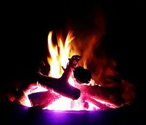 Close-up of fire at night