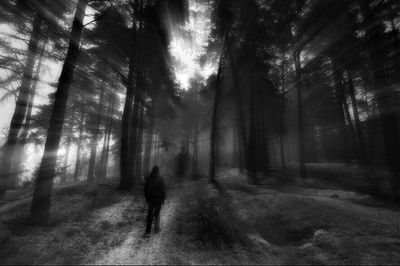 Full length of woman standing in forest