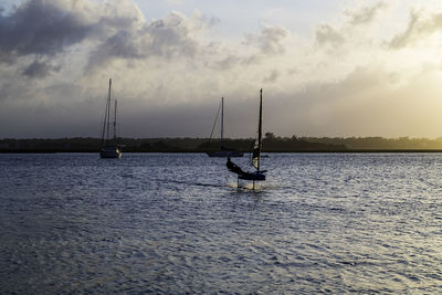 Sailboat sailing on sea against sky