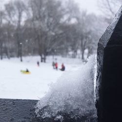 Close-up of snow covered trees against sky