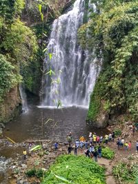 Scenic view of waterfall