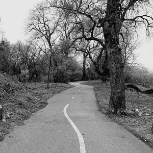 Road amidst bare trees against clear sky