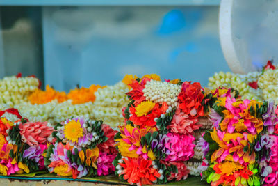 Close-up of multi colored flowering plants