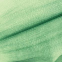 Full frame shot of green leaf