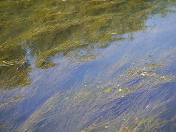 Full frame shot of rippled water