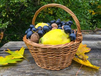 Close-up of fruits in basket