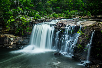 Scenic view of waterfall in forest