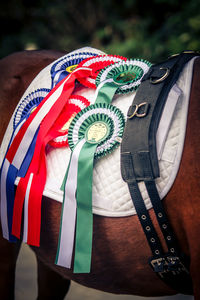 Close-up of award badges on horse
