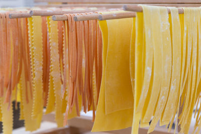 Close-up of yellow hanging
