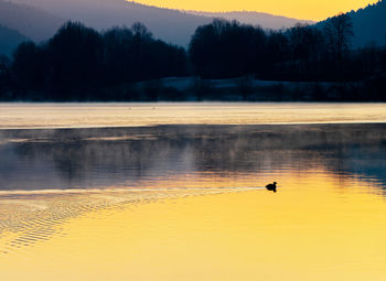 View of birds in lake at sunset