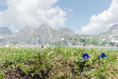 Scenic view of field and mountains against sky