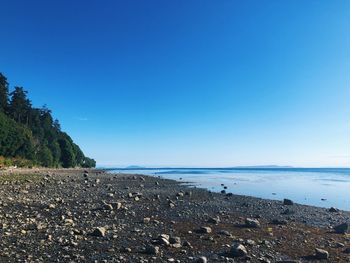 Scenic view of beach against clear blue sky