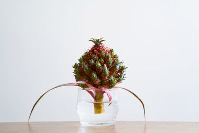 Flower vase on table against white background