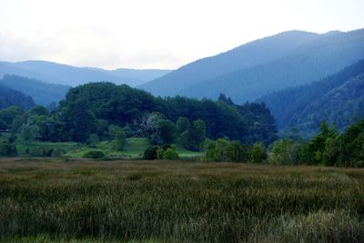 Scenic view of field and mountains against sky