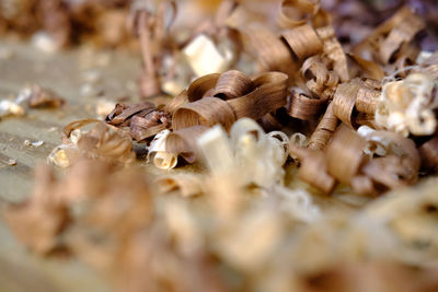 Close-up of leaves