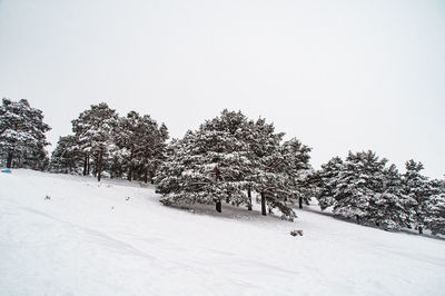 Trees on snow covered field against sky