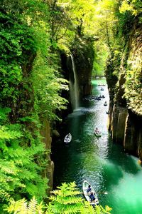 Scenic view of waterfall in forest