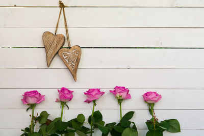 Close-up of pink flowers hanging on wood