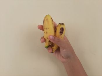 Midsection of person holding apple against white background