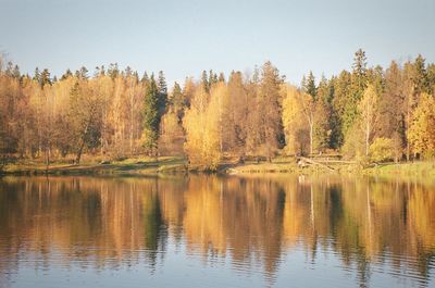 Reflection of trees in lake against sky