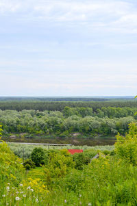 Scenic view of agricultural field against sky