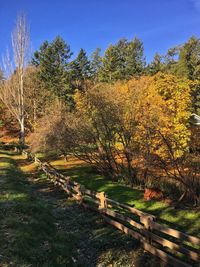 Trees growing on field against sky during autumn