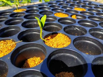 High angle view of various food for sale at market stall