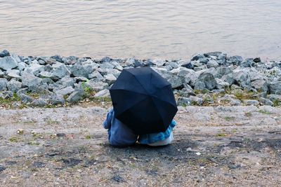 Rear view of man sitting on rock at beach