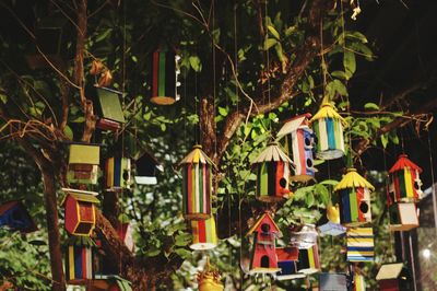 View of plants hanging from chairs at market stall