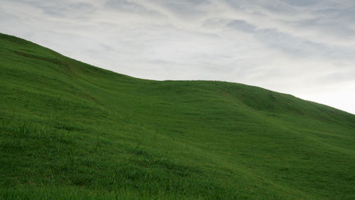 Scenic view of green landscape against sky