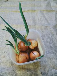 High angle view of fruits in container on table