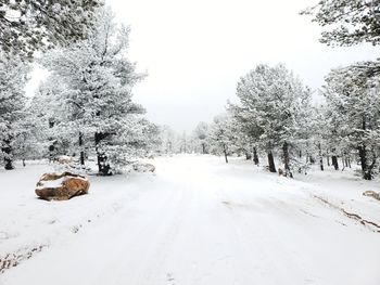 Snow covered road amidst trees against sky