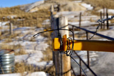 Close-up of snow on mountain